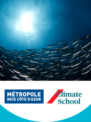 Climate School Nice