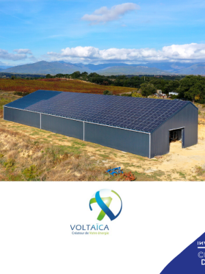 Voltaica Nice