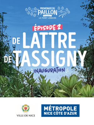 de lattre de tassigny nice