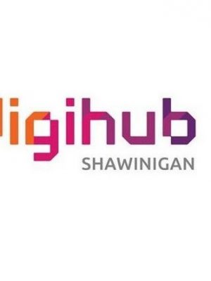 digihub-3-1152x425